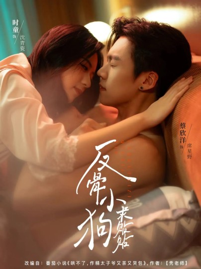 反骨小狗求贴贴